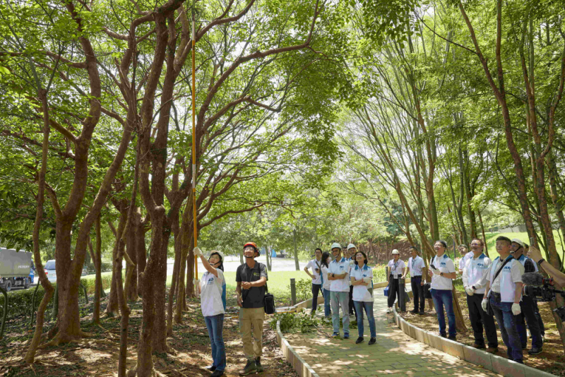 藝師教導大家認識樹木、檢查樹的健康狀況，學習修枝及碎枝覆土